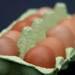5 أطعمة تساعد على بناء العضلات وزيادة حجمها