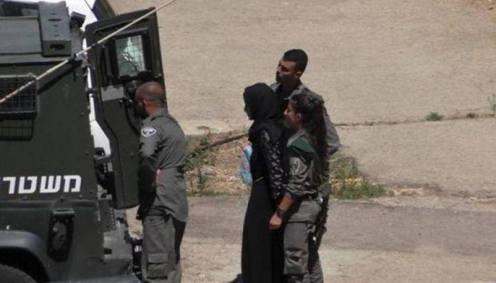 بينهم سيدة.. اعتقال عدد من المواطنين في الضفة