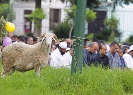فلسطين تعلن رسمياً عن موعد عيد الأضحى المبارك