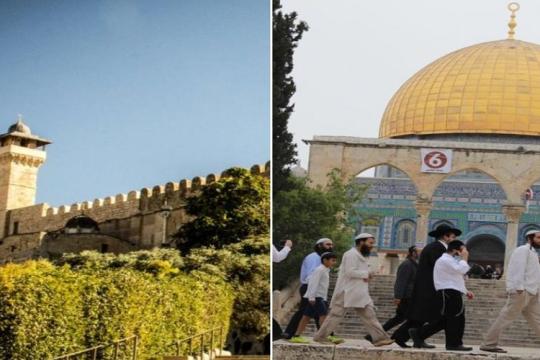 الأوقاف: الاحتلال اقتحم المسجد الأقصى 22 مرة ومنع رفع الأذان بالحرم الإبراهيمي 57 وقتا خلال شهر أيار