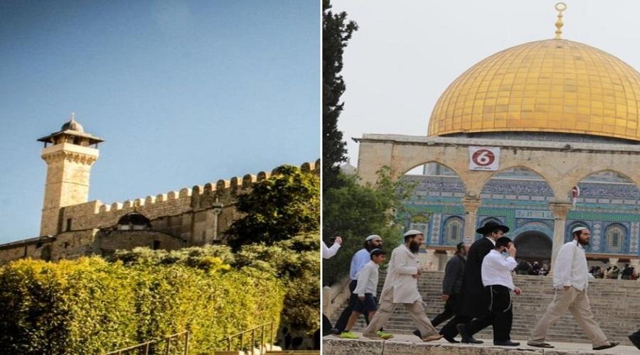 الأوقاف: الاحتلال اقتحم المسجد الأقصى 22 مرة ومنع رفع الأذان بالحرم الإبراهيمي 57 وقتا خلال شهر أيار