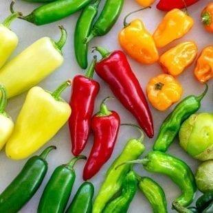 ماهي فوائد تناول الفلفل الأخضر على صحة جسمك؟