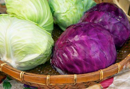 دراسة: الملفوف يمكن أن يساعد في محاربة كورونا وانخفاض معدل الوفيات