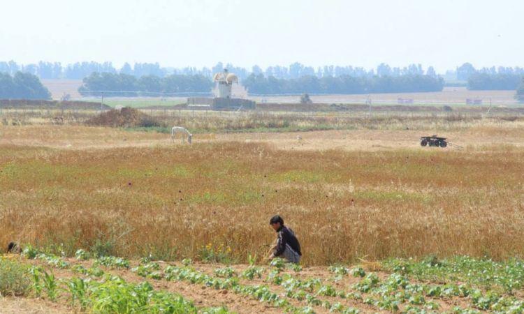 الاحتلال يستهدف المزارعين شرق غزة ويعتقل شبان بالضفة
