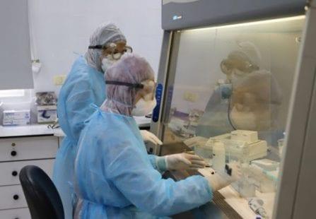 تسجيل 116 إصابة جديدة بفيروس كورونا في قطاع غزة خلال 24 ساعة