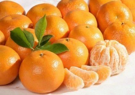 اليوسفي"الكلمنتينا" الفاكهة التي تحميك من البدانة