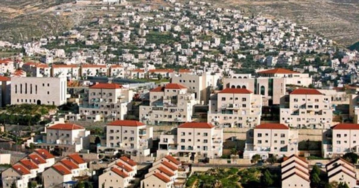 أريحا: مستوطنون يقيمون بؤرة استيطانية جديدة قرب تجمع نبع العوجا