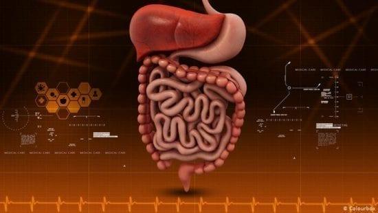 تقنية جديدة لإنقاص الوزن عبر إعادة "برمجة الأمعاء"