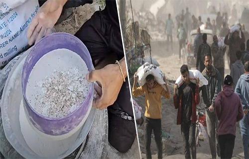 وسط تحذيرات صحية.. الطحين الفاسد يغزو موائد الغزيين