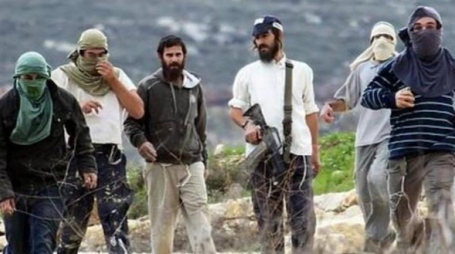 مستوطن يختطف فتى في قرية حوسان غرب بيت لحم