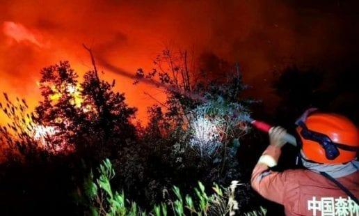 الصين: 19 قتيلاً في حريق ضخم في الغابات