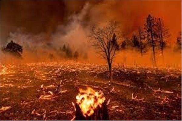 حرائق في كاليفورنيا بسبب درجات الحرارة العالية