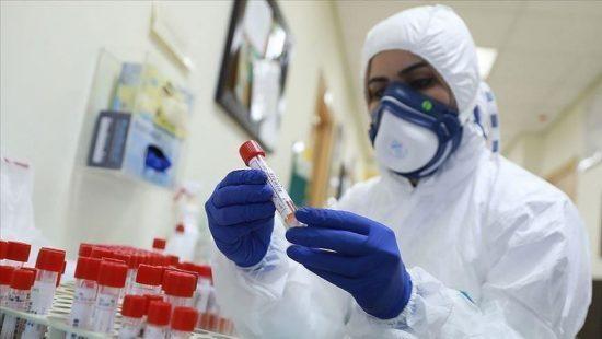 الصحة الفلسطينية: تسجيل 3 وفيات و806 إصابة جديدة بفيروس "كورونا"