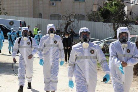 الصحة الفلسطينية: 277 إصابة جديدة بفيروس كورونا 239 حالة تعافٍ