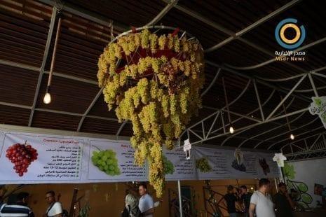"كروم اللولو" المعرض الأول في قطاع غزة لمحصول العنب