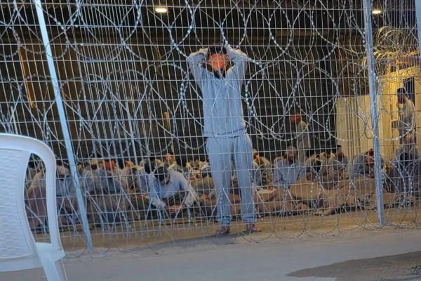 الاحتلال يكشف أماكن احتجاز 203 معتقلين من غزة في سجونه