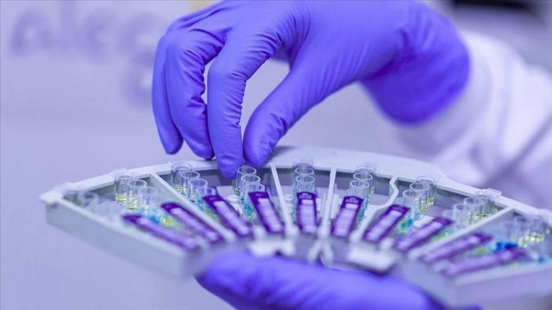 منظمة الصحة العالمية تراهن على أدوية عشبية أفريقية لعلاج كورونا