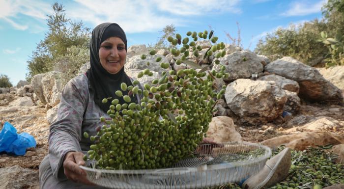 مفتي القدس يدعو المزارعين لإخراج زكاة الزيتون