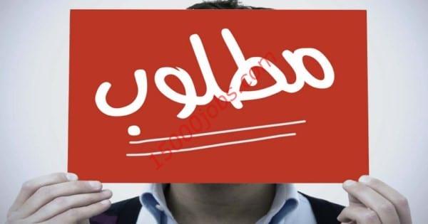 فرص عمل وتطوع: مؤسسة أندونيسية تعلن عن حاجتها لمتطوعين (رابط تسجيل)