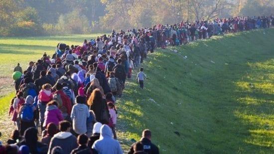 المجر تمنع دخول اللاجئين أراضيها تخوفا من فيروس كورونا