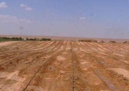 سلطة الأراضي في غزة تصدر بياناً بشأن معلومات نشرتها وسائل التواصل الاجتماعي
