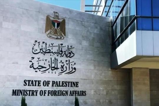 الخارجية تثمن جهود المتضامنين الدوليين على سفينة كسر الحصار