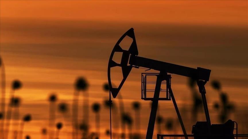 السعودية والكويت تعلنان عن اكتشاف نفطي بـ"المنطقة المقسومة"