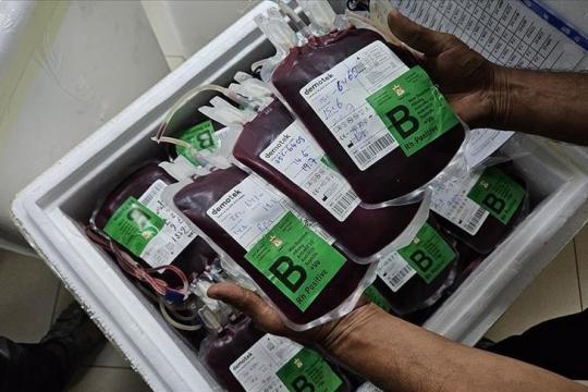 الصحة بغزة تناشد الأردن تزويدها بوحدات دم لإنقاذ المصابين