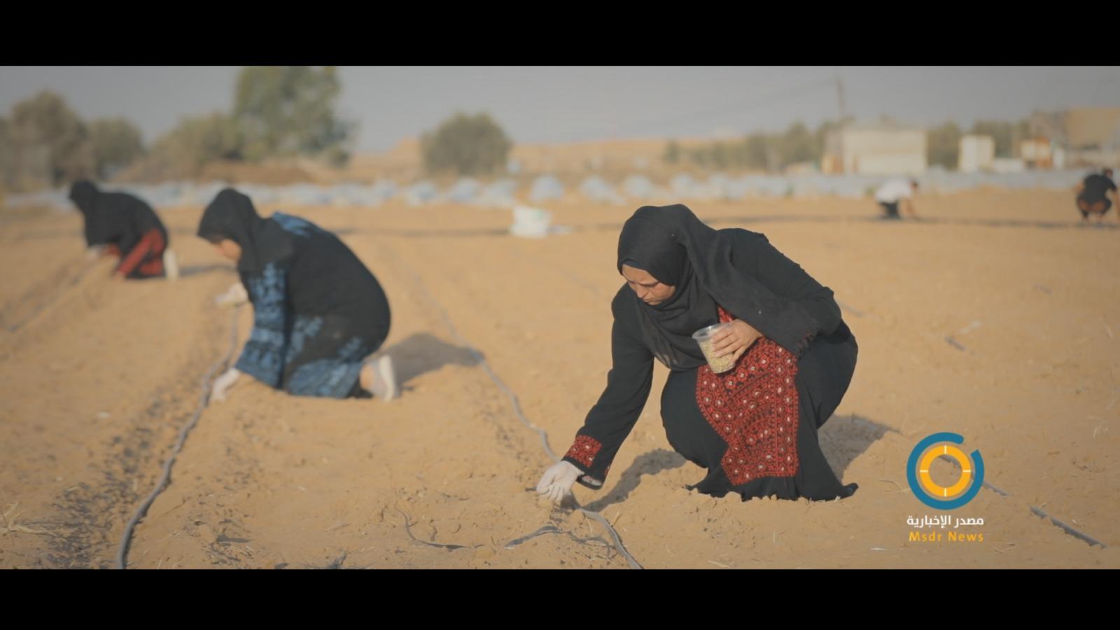 فيديو| من عرق جبينهن.. فتيات من غزة يحترفن الزراعة ليساعدن أسرهن