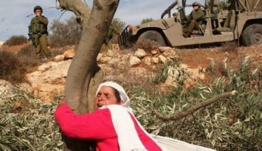 موجة بث موحدة يوم الإثنين لإحياء ذكرى يوم الأرض