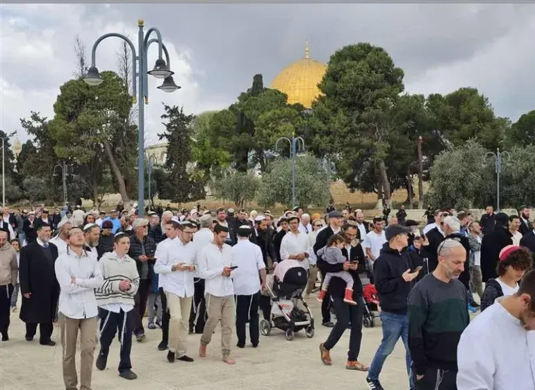 مستوطنون متطرفون يقتحمون المسجد الأقصى