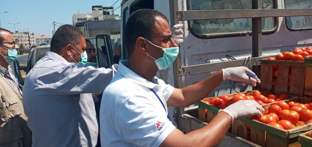 الزراعة بغزة: السماح للمزارعين بتسويق الخضروات وتوفيرها بالأسعار المعتمدة